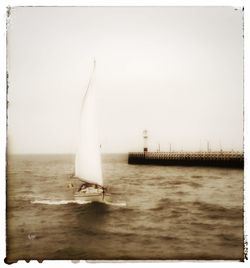 Sailboat sailing in sea against clear sky