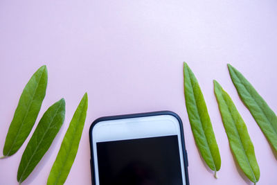 Close-up of vegetables against white background