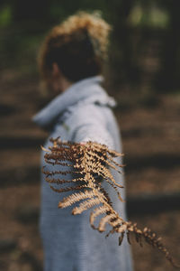 Close-up of plant