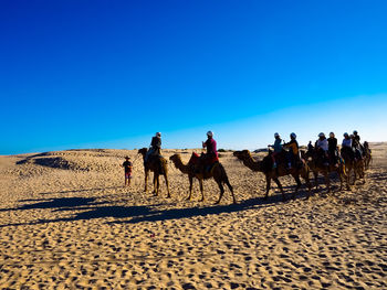 Group of people riding horse on beach