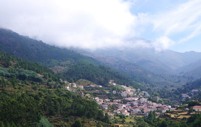 environment