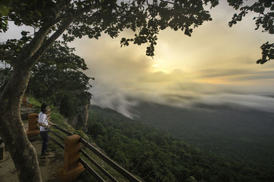 Man standing by trees against sky during sunset
