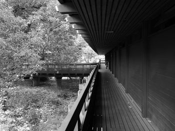 Footbridge over trees