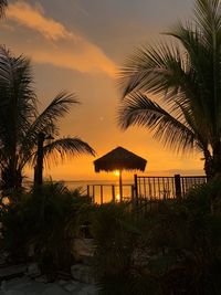 Palm trees by swimming pool against sky during sunset