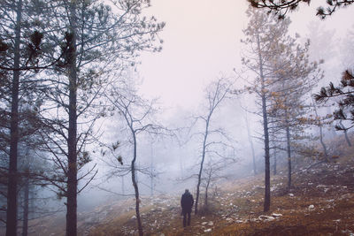 Rear view of man standing in forest during winter