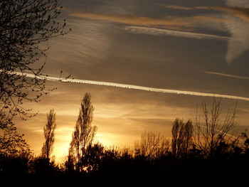 Silhouette trees against sky during sunset
