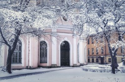 Snow covered bare trees in front of building