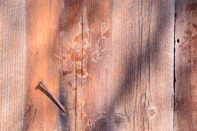 Full frame shot of wooden door