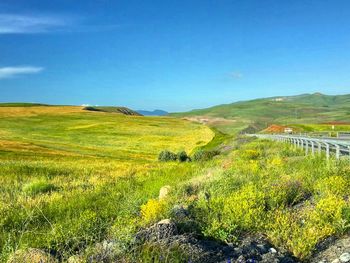 Scenic view of landscape against sky