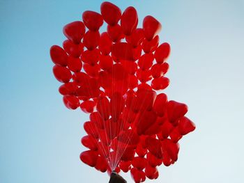 Close-up of red flowers against clear sky