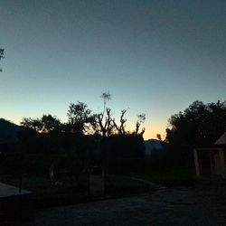 Silhouette trees against clear sky