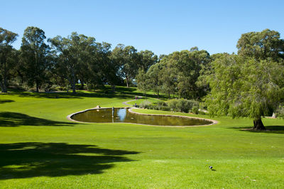 View of golf course against clear sky