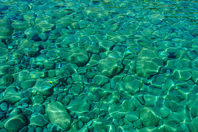 Full frame shot of swimming pool