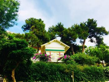 House amidst trees and building against sky