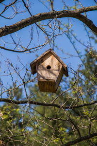Bird house made of wood