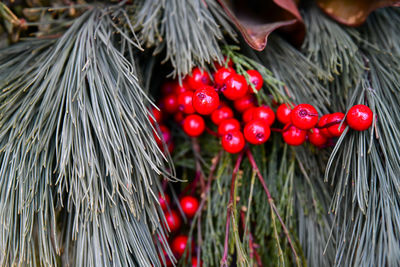 Close-up of christmas decorations