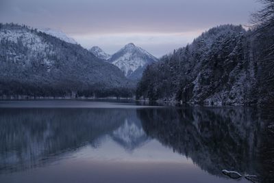 Reflection of trees in calm lake