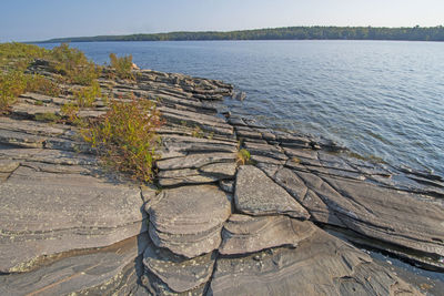 High angle view of trees by sea against sky