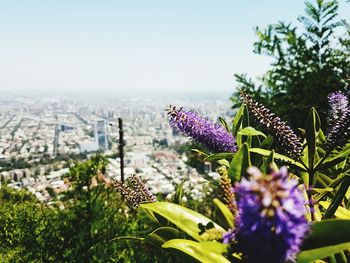 View of cityscape against sky