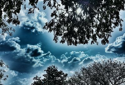 Low angle view of trees against cloudy sky