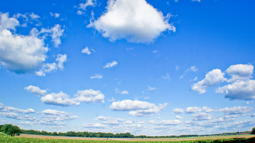 Scenic view of field against blue sky