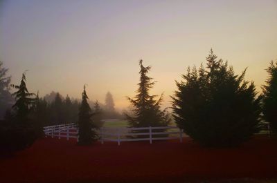 Trees on field against sky during sunset