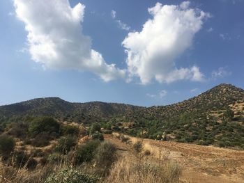 Scenic view of landscape against sky