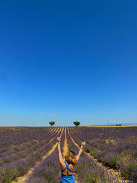 Valensole - france