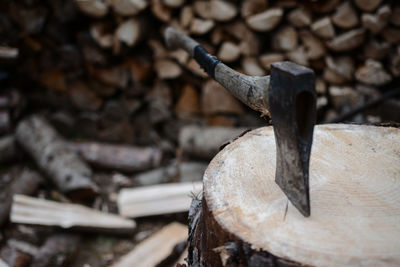 Close-up of stack of logs