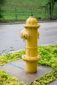 Close-up of fire hydrant on street