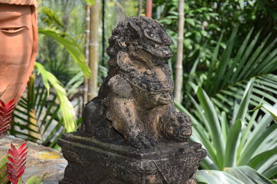 Close-up of buddha statue against temple