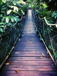 Wooden pathway along trees