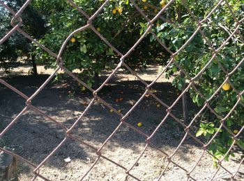 Fence seen through chainlink fence