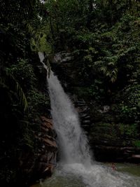 Scenic view of waterfall in forest