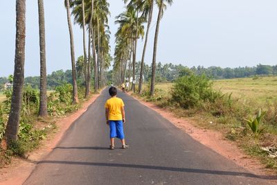 Rear view of man walking on road amidst trees