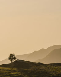 Scenic view of landscape against clear sky during sunset