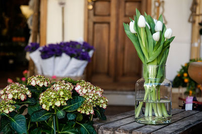 Close-up of flower pot on table