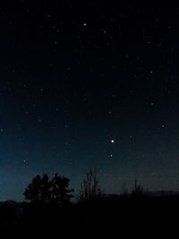 Trees against sky at night