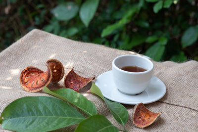 Close-up of coffee served on table