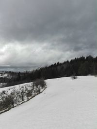 View of trees on snow covered landscape