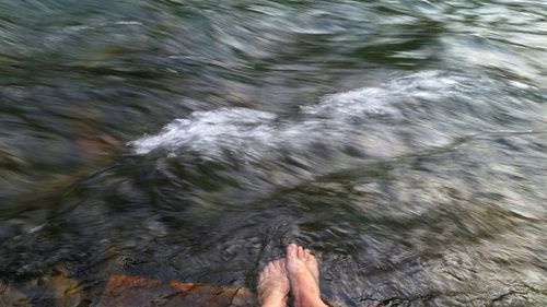 Close-up of hand feeding in water