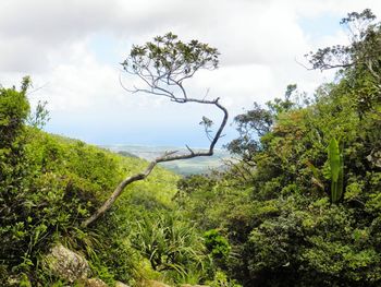 Scenic view of landscape against cloudy sky