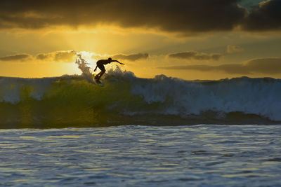 Bird flying over sea against sky during sunset