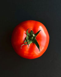 Directly above shot of tomatoes against black background