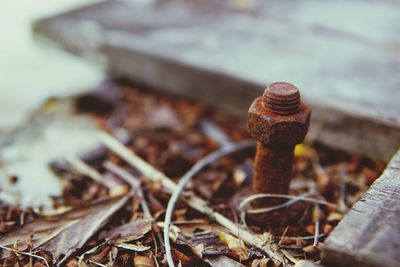 Close-up of rusty metal on field