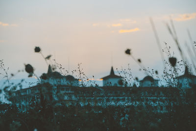 Close-up of water drops on glass window