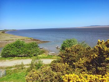 Scenic view of sea against clear blue sky