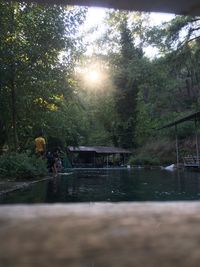 View of lake in forest