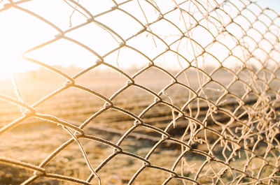 View of a winter farm field through a mesh fence. beautiful sunrise in countryside. 