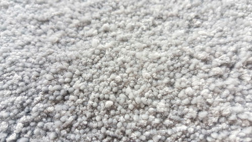 Full frame shot of cat